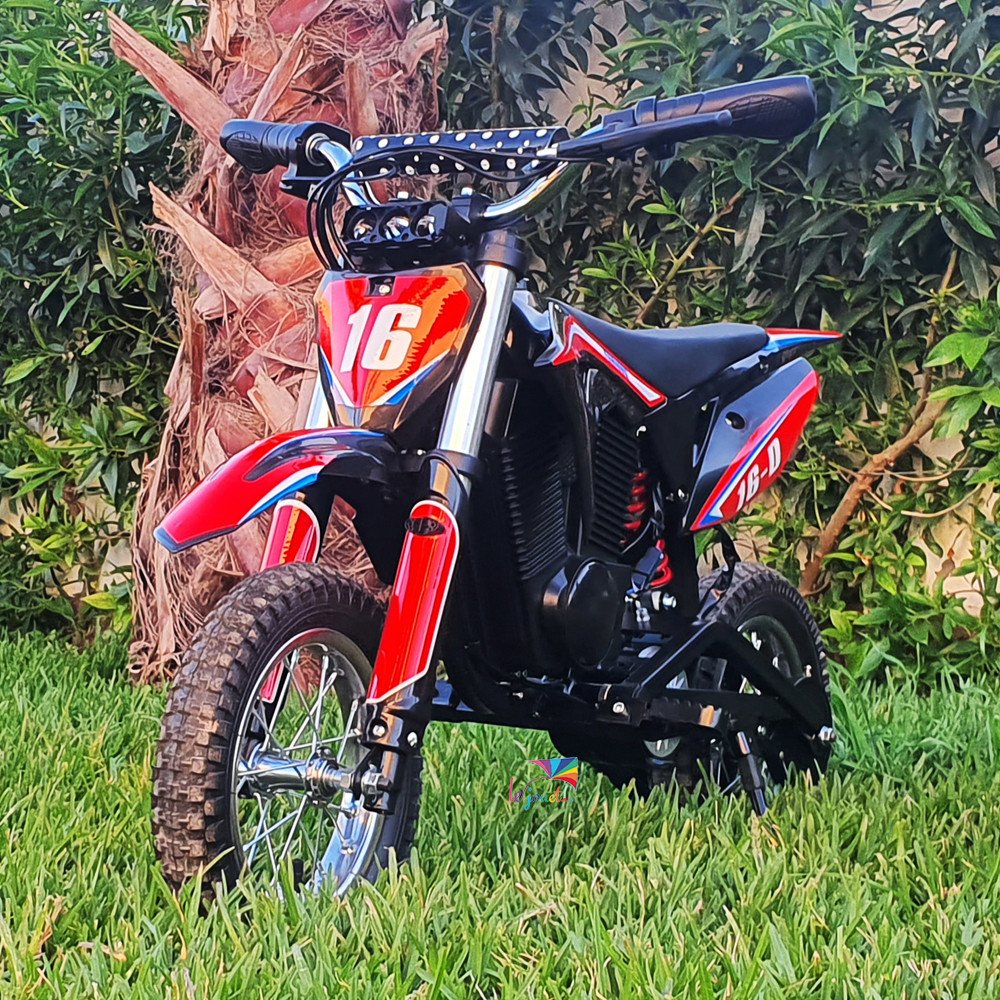 Moto-cross électrique enfant 36V 1000W | LEJOUET.MA