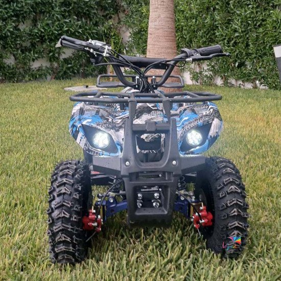 Quad électrique 36v 1000watts