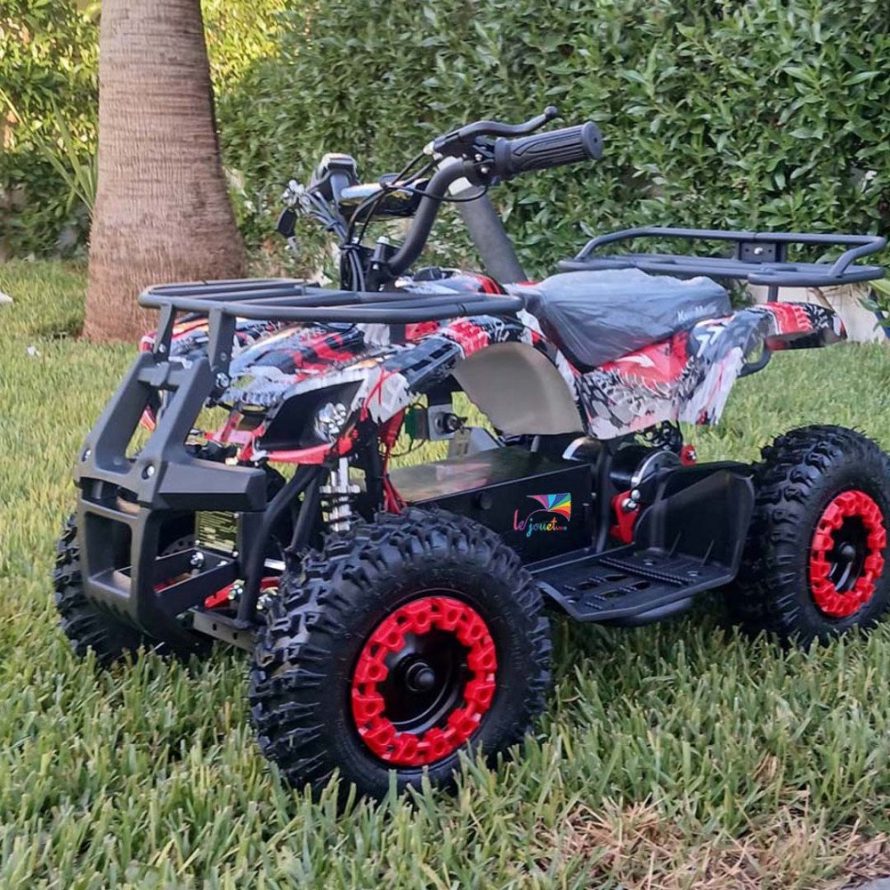 Quad électrique 36v 1000watts