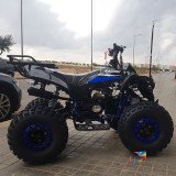 Quad SPORTRAX 125cc Semi-Automatique Renforcé | LEJOUET.MA