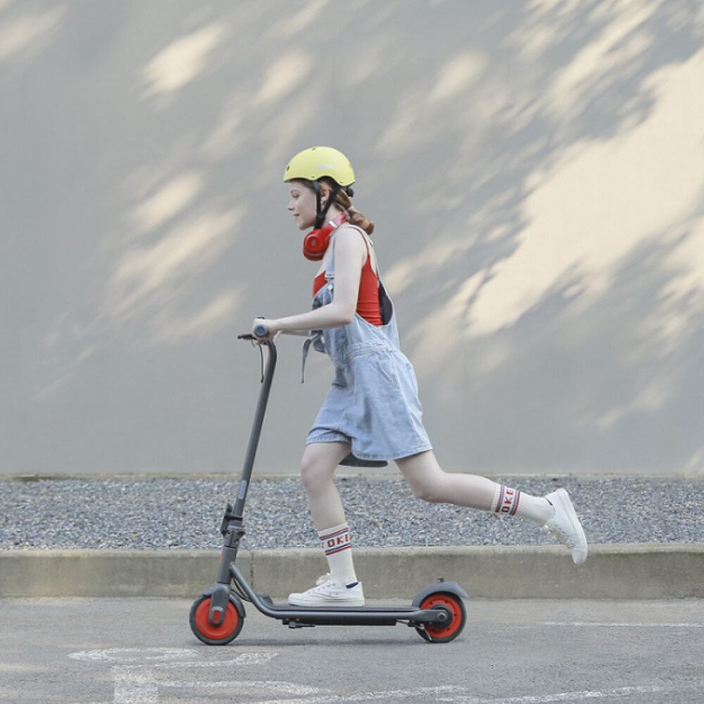 Trottinette électrique Segway Ninebot Zing C20 - eKickScooter Powered by Segway