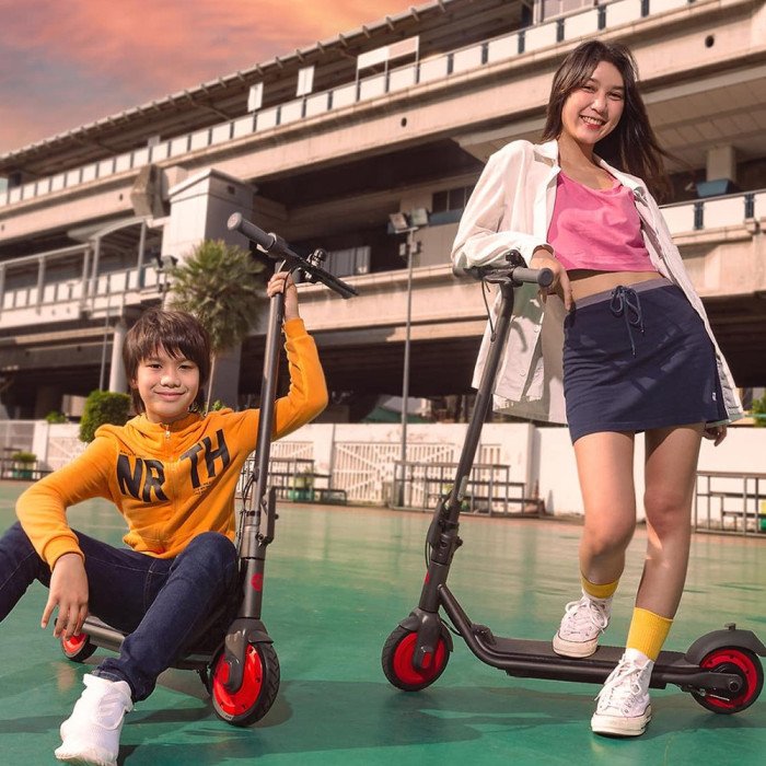 Trottinette électrique Segway Ninebot Zing C20 - eKickScooter Powered by Segway