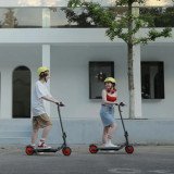 Trottinette électrique Segway Ninebot Zing C20 - eKickScooter Powered by Segway