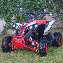 MINI QUAD ÉLECTRIQUE 48V – 1200W pour Adolescents
