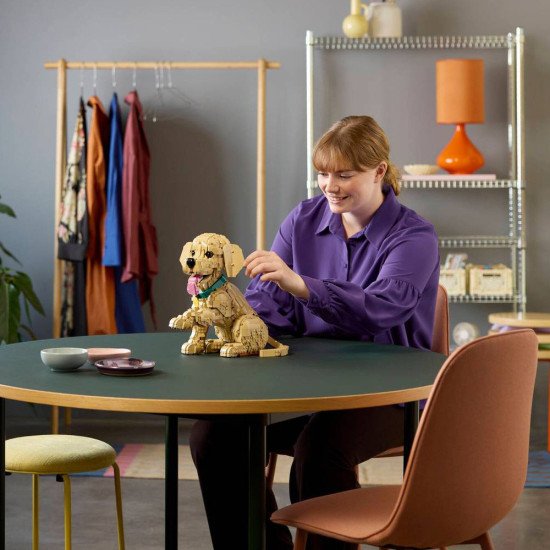 LEGO Icons Le Chiot Golden Retriever 11384 | Figurine