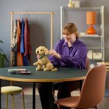LEGO Icons Le Chiot Golden Retriever 11384 | Figurine