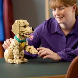 LEGO Icons Le Chiot Golden Retriever 11384 | Figurine
