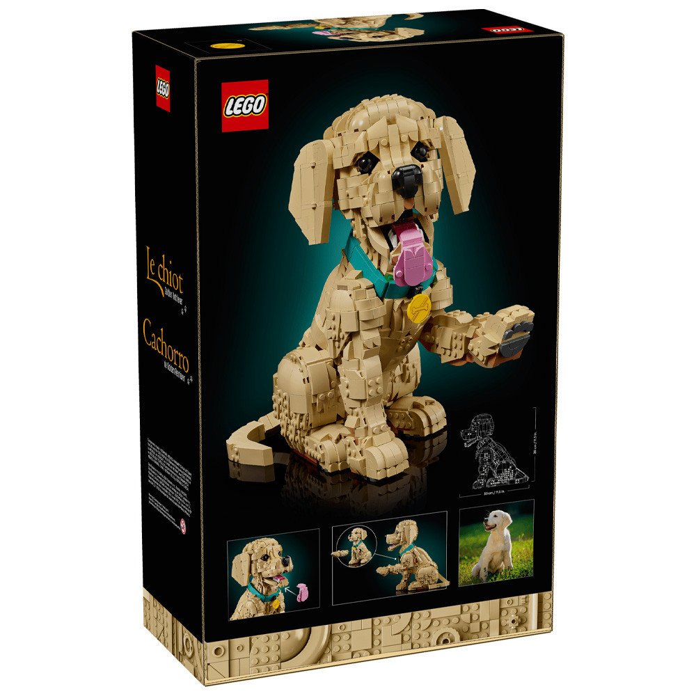 LEGO Icons Le Chiot Golden Retriever 11384 | Figurine