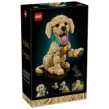 LEGO Icons Le Chiot Golden Retriever 11384 | Figurine