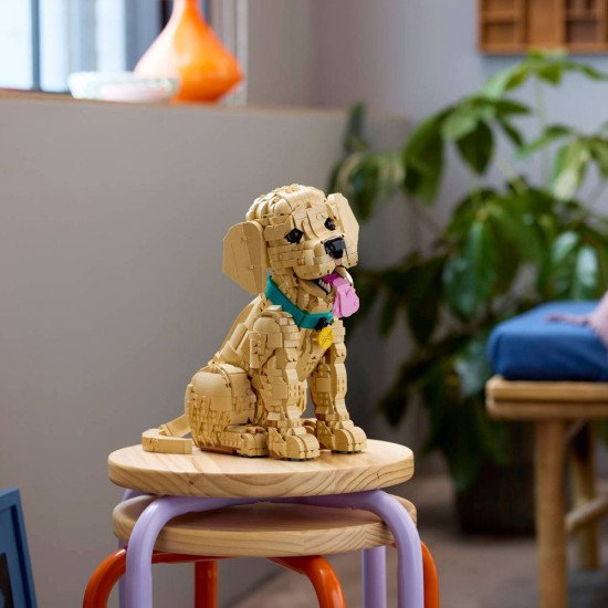 LEGO Icons Le Chiot Golden Retriever 11384 | Figurine