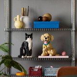 LEGO Icons Le Chiot Golden Retriever 11384 | Figurine
