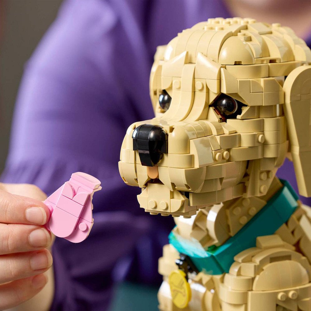 LEGO Icons Le Chiot Golden Retriever 11384 | Figurine