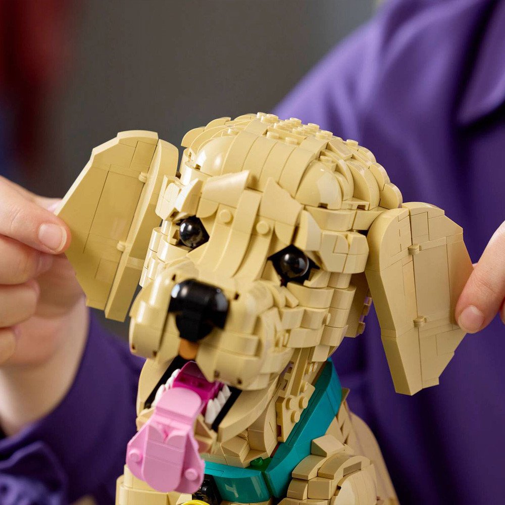 LEGO Icons Le Chiot Golden Retriever 11384 | Figurine