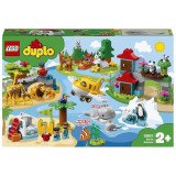LEGO DUPLO Les Animaux du Monde 10907 | Jouet 2-5 ans