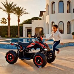 Nouveau quad électrique 36v 1000watts