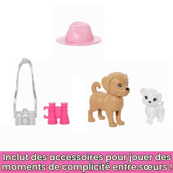 Barbie Coffret Poupées Stacie et Barbie 2 Chiots HRM09