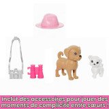 Barbie Coffret Poupées Stacie et Barbie 2 Chiots HRM09