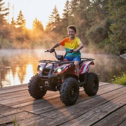 Quad électrique 36v 1000watts