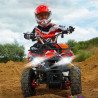 Quad électrique 36v 1000watts