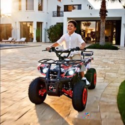 Quad électrique 36v 1000watts