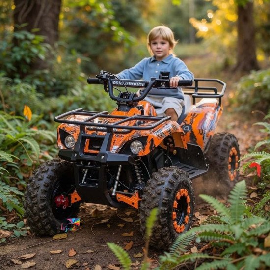 Quad électrique 36v 1000watts