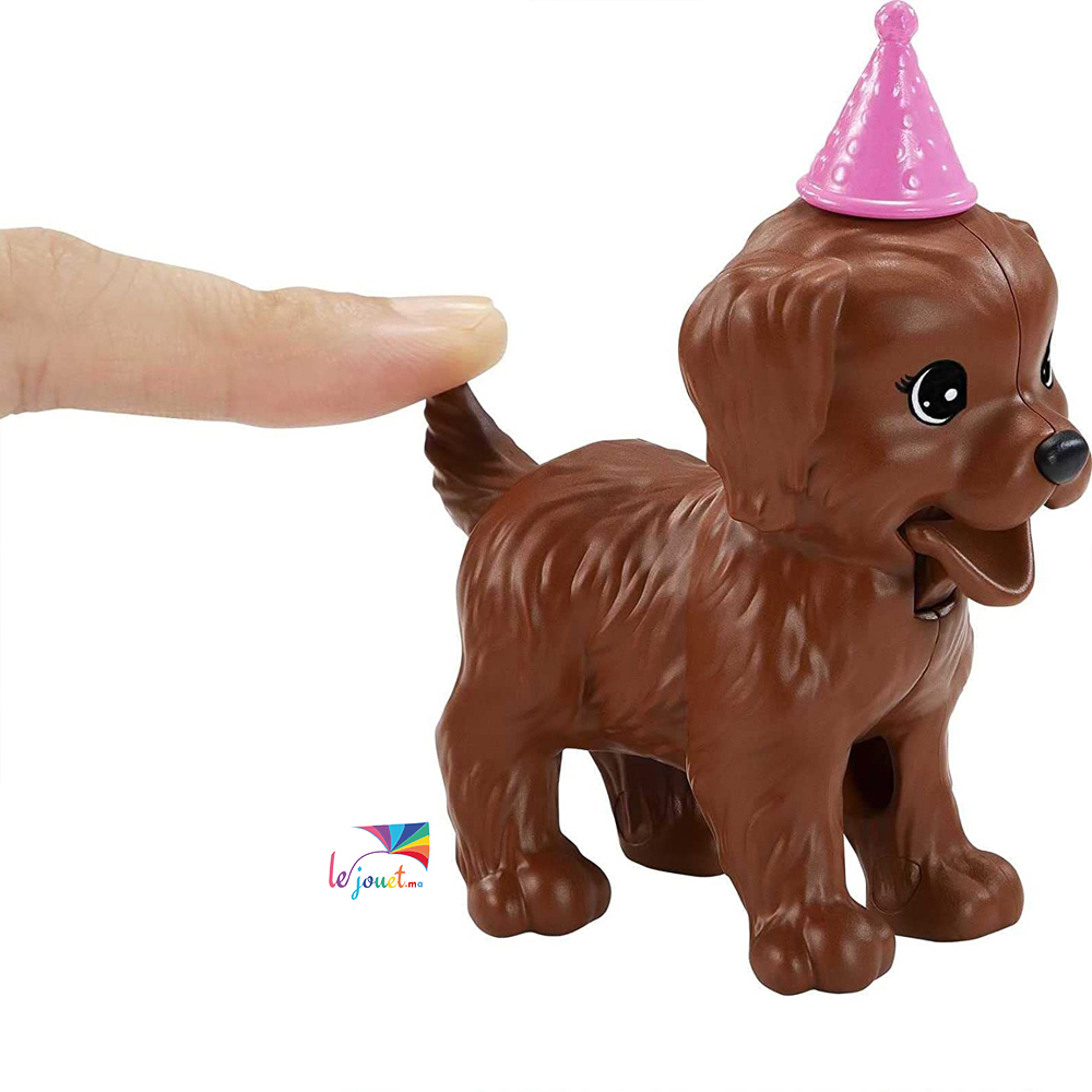 coffret Barbie anniversaire des chiens – MATTEL –