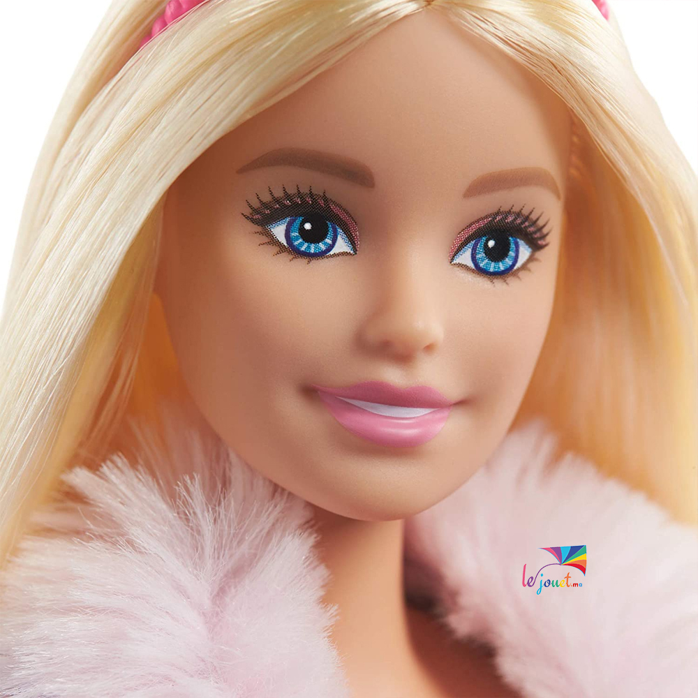 Poupée Barbie Princesse Adventure –