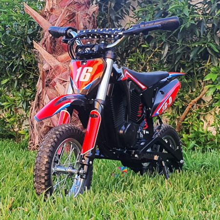 Moto-cross tout-terrain 36v12ah 1000watts