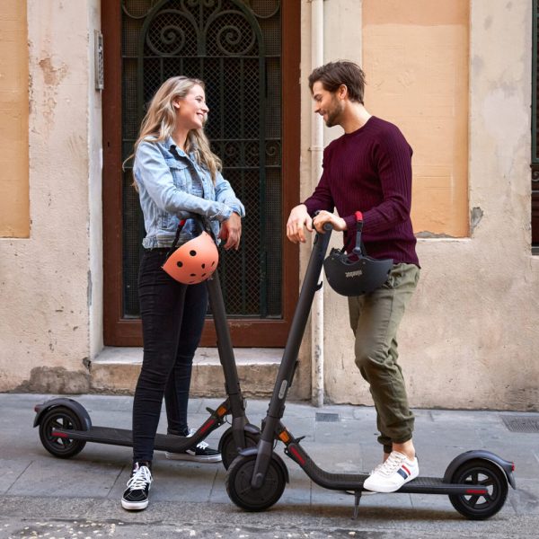 Trottinette electrique Segway Ninebot E22E 5