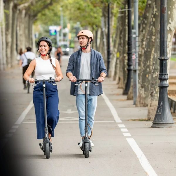 Trottinette électrique Segway Ninebot F40I