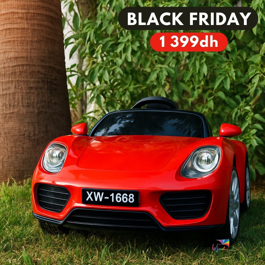 La Voiture Électrique pour enfants STYLE PORSCHE 12V swing 1 La Voiture Électrique pour enfants STYLE PORSCHE 12V swing