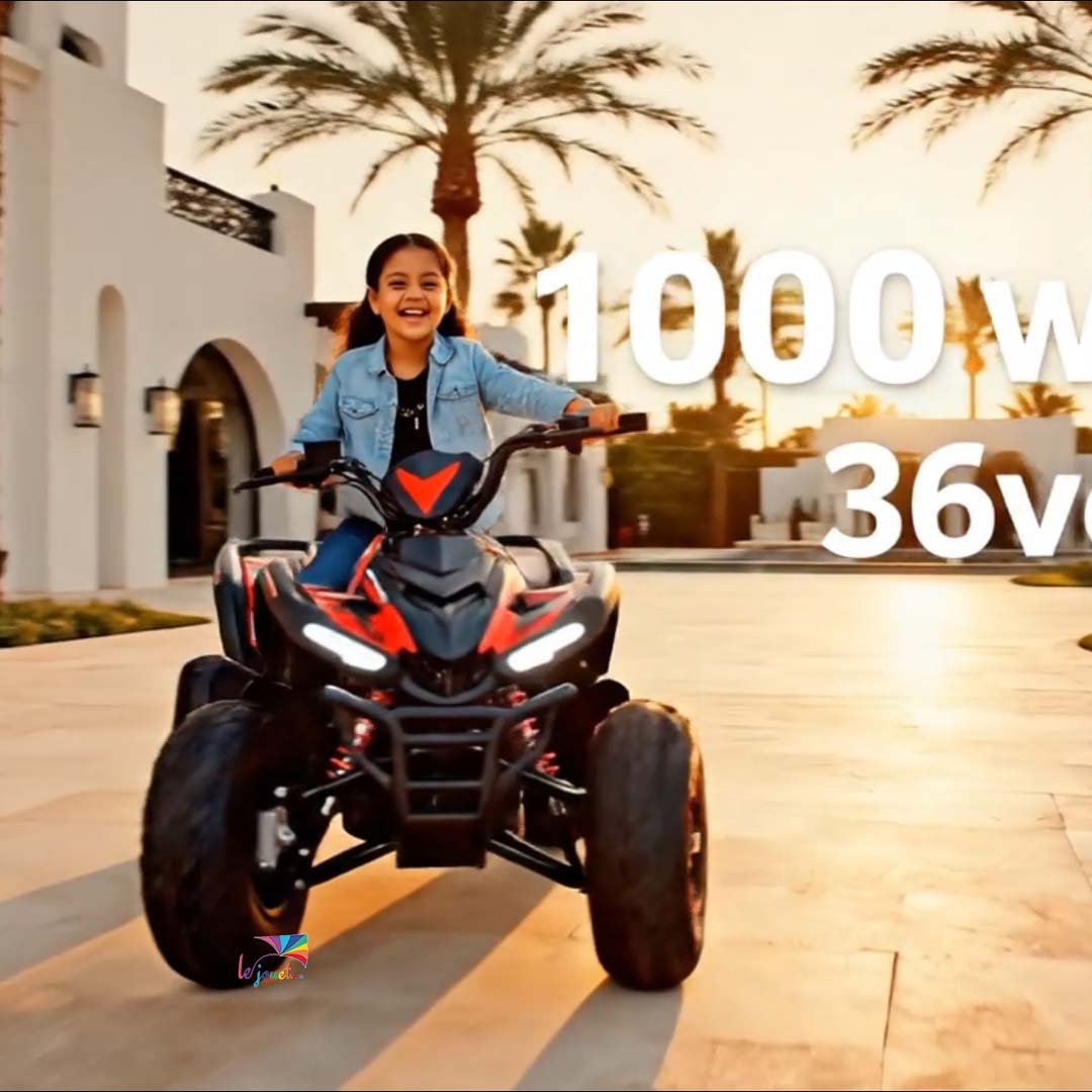 Nouveau quad électrique 36v 1000watts 2 Nouveau quad électrique 36v 1000watts – Image 2