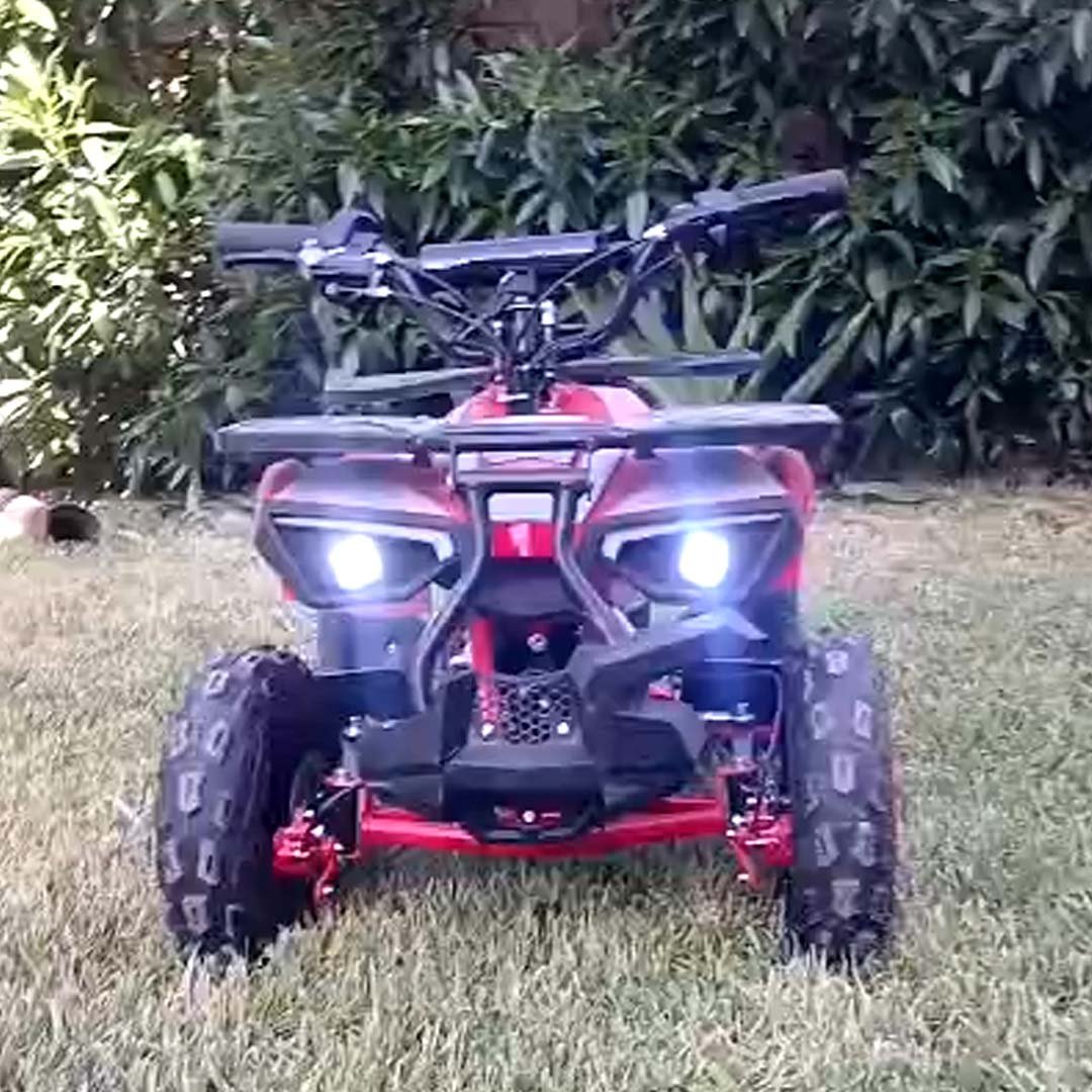 New Mini Quad électrique 36v 1000watts 2 New Mini Quad électrique 36v 1000watts – Image 2