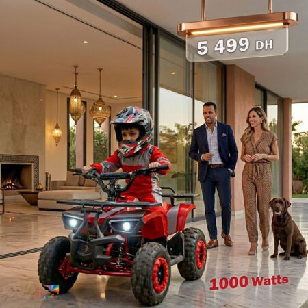 New Mini Quad électrique 36v 1000watts